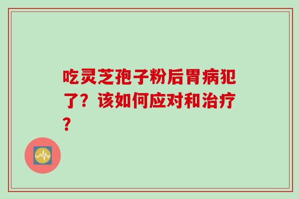 吃灵芝孢子粉后胃病犯了？该如何应对和治疗？