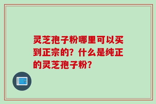 灵芝孢子粉哪里可以买到正宗的？什么是纯正的灵芝孢子粉？