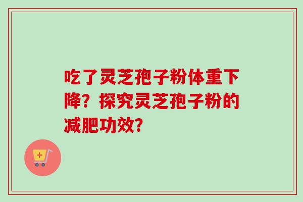 吃了灵芝孢子粉体重下降?探究灵芝孢子粉的减肥功效?
