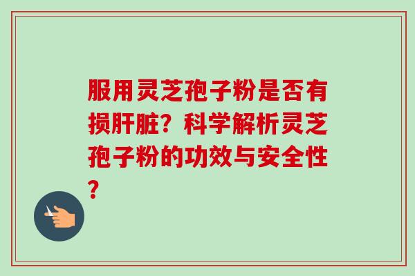 服用灵芝孢子粉是否有损肝脏？科学解析灵芝孢子粉的功效与安全性？