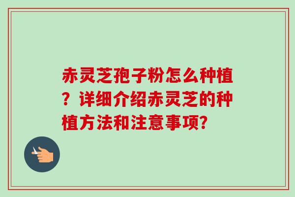 赤灵芝孢子粉怎么种植?详细介绍赤灵芝的种植方法和注意事项? 赤灵芝孢子粉怎么种植?详细介绍赤灵芝的种植方法和注意事项?