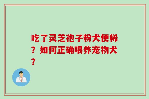 吃了灵芝孢子粉犬便稀?如何正确喂养宠物犬?