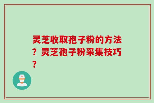 灵芝收取孢子粉的方法?灵芝孢子粉采集技巧?