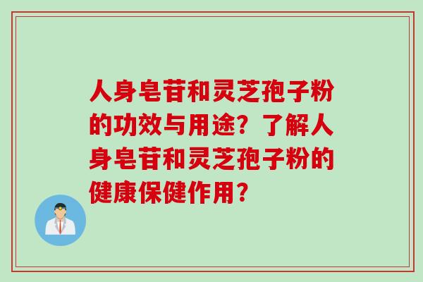 人身皂苷和灵芝孢子粉的功效与用途?了解人身皂苷和灵芝孢子粉的健康保健作用?