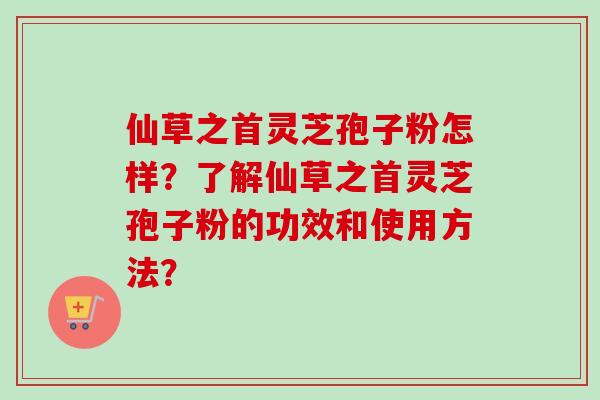 仙草之首灵芝孢子粉怎样?了解仙草之首灵芝孢子粉的功效和使用方法?