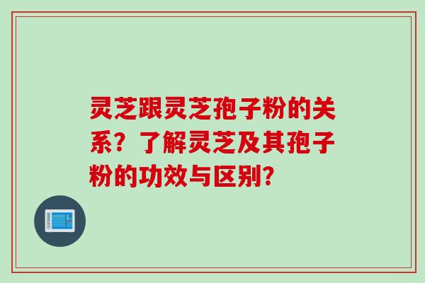 灵芝跟灵芝孢子粉的关系?了解灵芝及其孢子粉的功效与区别?