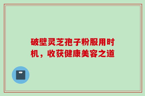 破壁灵芝孢子粉服用时机,收获健康美容之道