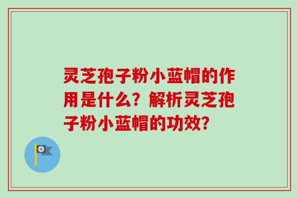 灵芝孢子粉小蓝帽的作用是什么?解析灵芝孢子粉小蓝帽的功效?