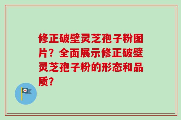 修正破壁灵芝孢子粉图片？全面展示修正破壁灵芝孢子粉的形态和品质？