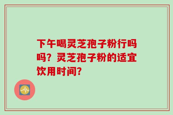 下午喝灵芝孢子粉行吗吗？灵芝孢子粉的适宜饮用时间？