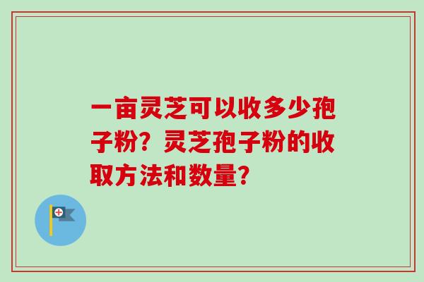 一亩灵芝可以收多少孢子粉？灵芝孢子粉的收取方法和数量？