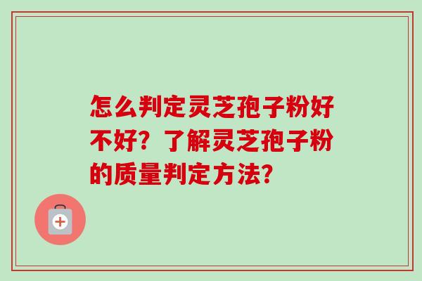 怎么判定灵芝孢子粉好不好？了解灵芝孢子粉的质量判定方法？