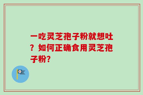一吃灵芝孢子粉就想吐？如何正确食用灵芝孢子粉？
