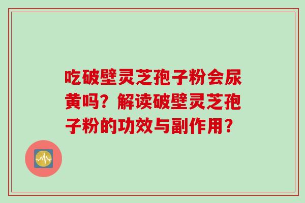 吃破壁灵芝孢子粉会尿黄吗?解读破壁灵芝孢子粉的功效与副作用?