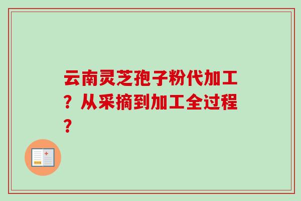 云南灵芝孢子粉代加工？从采摘到加工全过程？