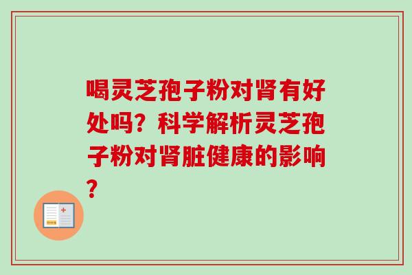 喝灵芝孢子粉对肾有好处吗？科学解析灵芝孢子粉对肾脏健康的影响？