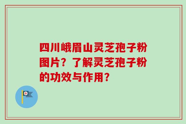 四川峨眉山灵芝孢子粉图片？了解灵芝孢子粉的功效与作用？