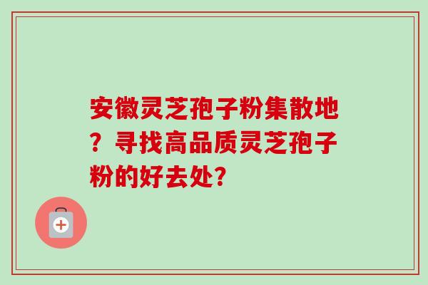 安徽灵芝孢子粉集散地？寻找高品质灵芝孢子粉的好去处？
