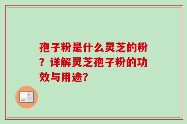 孢子粉是什么灵芝的粉？详解灵芝孢子粉的功效与用途？