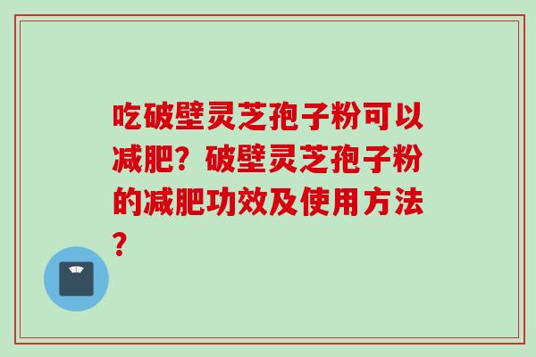 吃破壁灵芝孢子粉可以减肥?破壁灵芝孢子粉的减肥功效及使用方法?