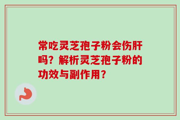 常吃灵芝孢子粉会伤肝吗？解析灵芝孢子粉的功效与副作用？