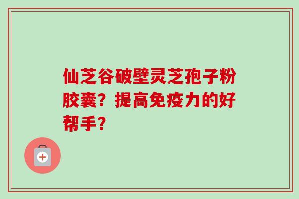 仙芝谷破壁灵芝孢子粉胶囊?提高免疫力的好帮手?