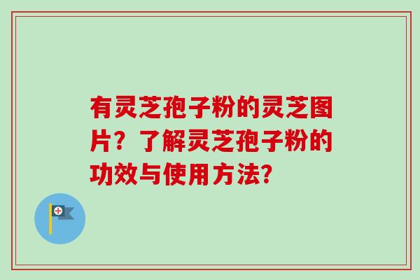 有灵芝孢子粉的灵芝图片？了解灵芝孢子粉的功效与使用方法？