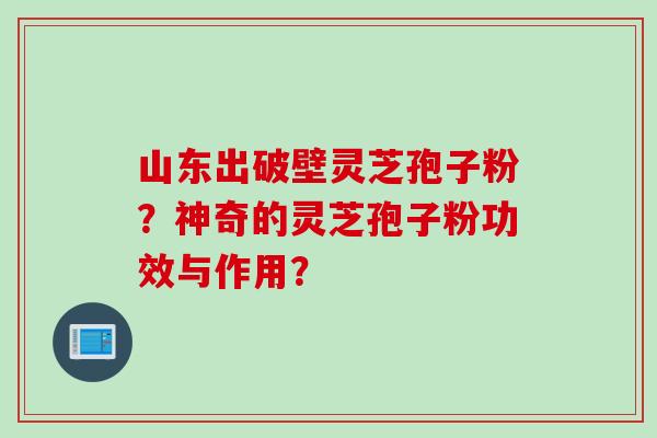山东出破壁灵芝孢子粉？神奇的灵芝孢子粉功效与作用？