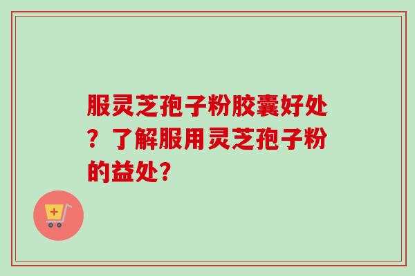 服灵芝孢子粉胶囊好处？了解服用灵芝孢子粉的益处？