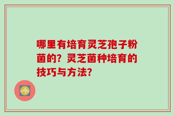 哪里有培育灵芝孢子粉菌的？灵芝菌种培育的技巧与方法？