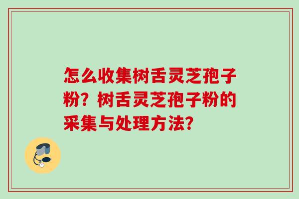 怎么收集树舌灵芝孢子粉?树舌灵芝孢子粉的采集与处理方法? 怎么收集树舌灵芝孢子粉?树舌灵芝孢子粉的采集与处理方法?