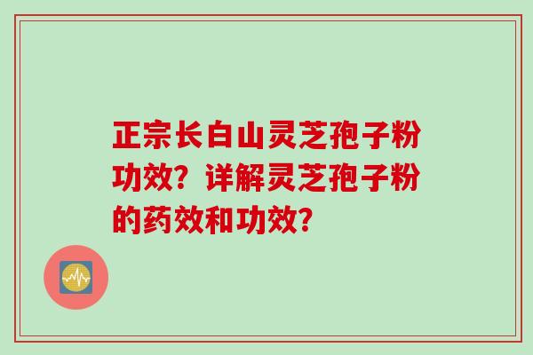 正宗长白山灵芝孢子粉功效？详解灵芝孢子粉的药效和功效？
