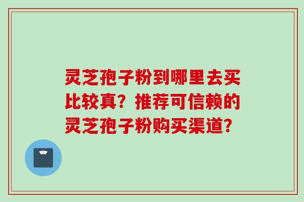 灵芝孢子粉到哪里去买比较真？推荐可信赖的灵芝孢子粉购买渠道？