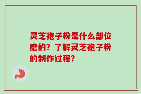 灵芝孢子粉是什么部位磨的？了解灵芝孢子粉的制作过程？