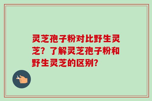 灵芝孢子粉对比野生灵芝?了解灵芝孢子粉和野生灵芝的区别?