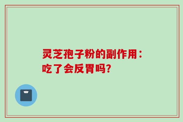 灵芝孢子粉的副作用:吃了会反胃吗? 灵芝孢子粉的副作用:吃了会反胃吗?