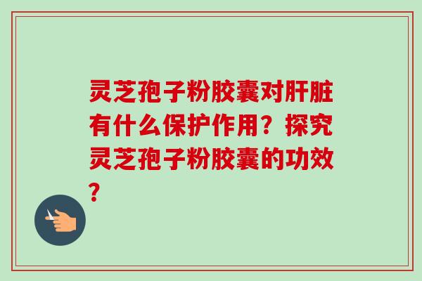灵芝孢子粉胶囊对肝脏有什么保护作用？探究灵芝孢子粉胶囊的功效？