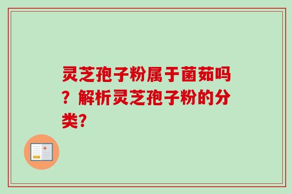 灵芝孢子粉属于菌茹吗？解析灵芝孢子粉的分类？