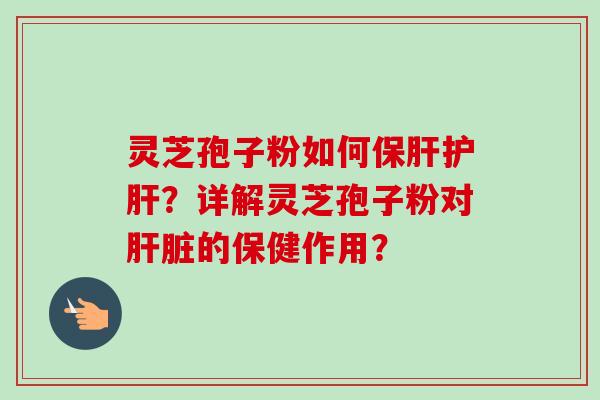 灵芝孢子粉如何保肝护肝？详解灵芝孢子粉对肝脏的保健作用？
