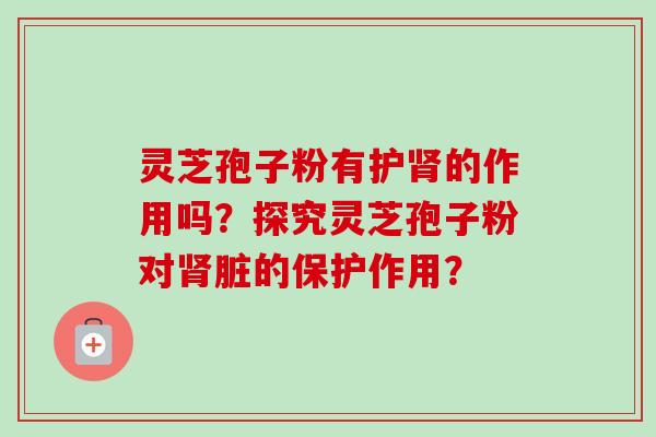 灵芝孢子粉有护肾的作用吗？探究灵芝孢子粉对肾脏的保护作用？