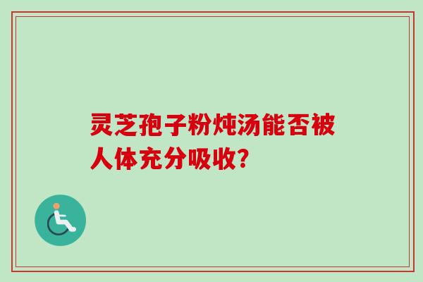 灵芝孢子粉炖汤能否被人体充分吸收？