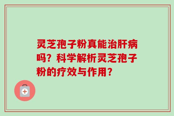 灵芝孢子粉真能治肝病吗？科学解析灵芝孢子粉的疗效与作用？