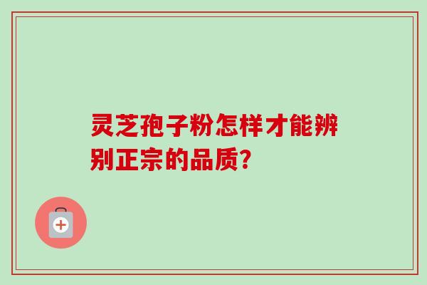 灵芝孢子粉怎样才能辨别正宗的品质？