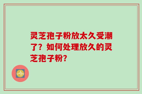 灵芝孢子粉放太久受潮了?如何处理放久的灵芝孢子粉?