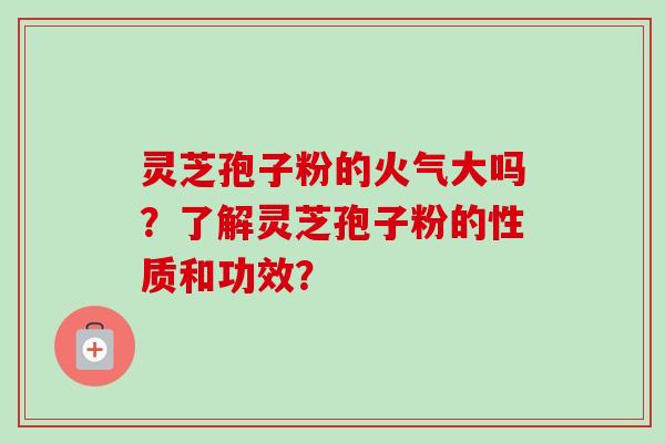 灵芝孢子粉的火气大吗？了解灵芝孢子粉的性质和功效？