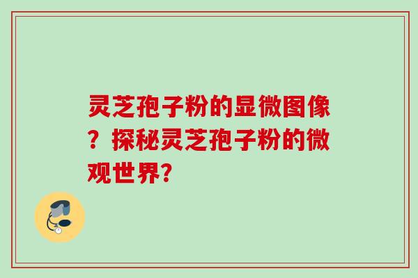 灵芝孢子粉的显微图像？探秘灵芝孢子粉的微观世界？