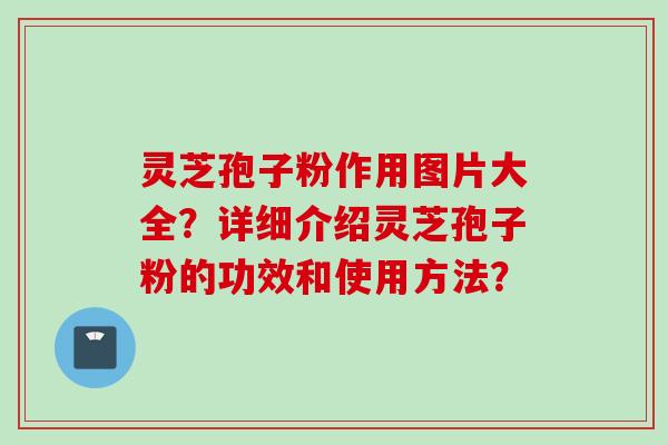 灵芝孢子粉作用图片大全?详细介绍灵芝孢子粉的功效和使用方法? 灵芝孢子粉作用图片大全?详细介绍灵芝孢子粉的功效和使用方法?