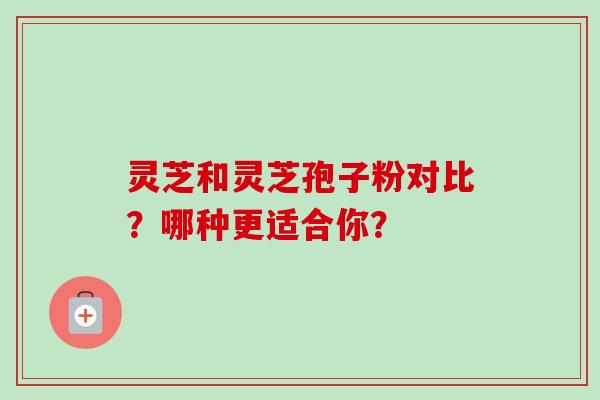 灵芝和灵芝孢子粉对比？哪种更适合你？