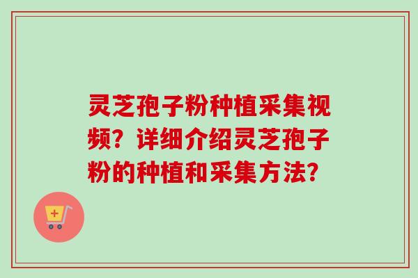 灵芝孢子粉种植采集视频？详细介绍灵芝孢子粉的种植和采集方法？