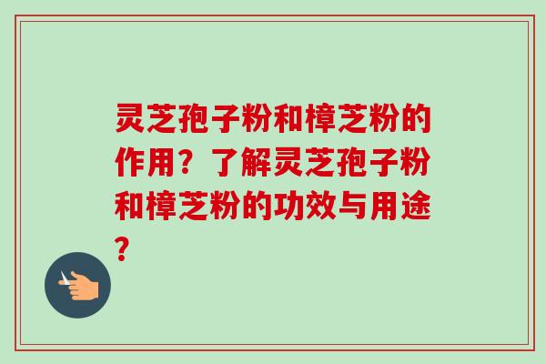灵芝孢子粉和樟芝粉的作用?了解灵芝孢子粉和樟芝粉的功效与用途?